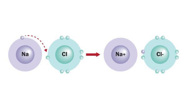 Ionic Bond Examples Biology Dictionary